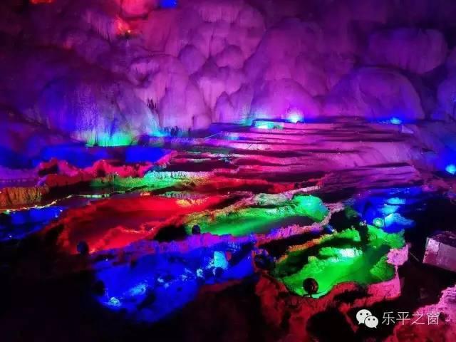 春雨直播app